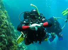 elite diving malta