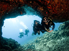 elite scuba diving malta