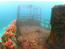 malta dive sites